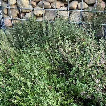 By Wise Ka & Baltic Casa de Férias *