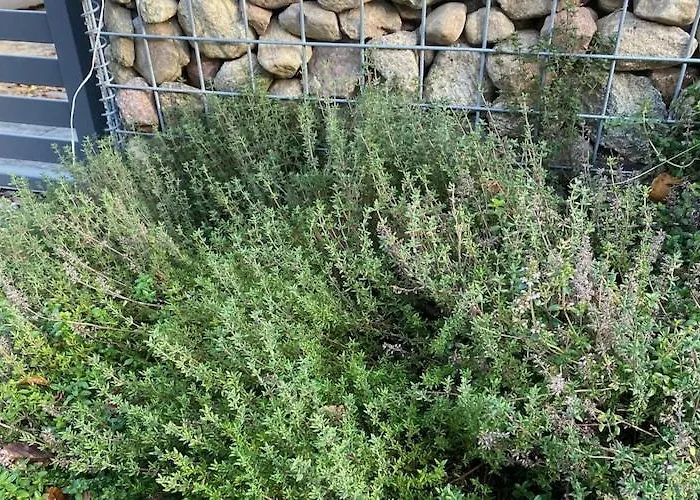 By Wise Ka & Baltic Сasa de vacaciones *